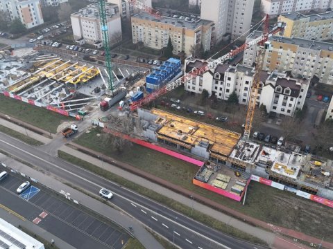 Goslove - kronika budowy luty 2024